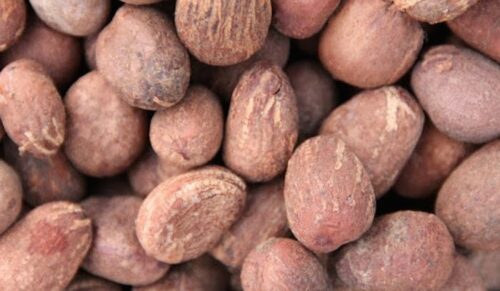 Shea Nut Export Ban Puts $3bn Non-Oil Trade At Risk – CPPE