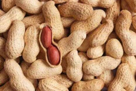 Groundnuts Production Hindered By Supply Chain Challenges