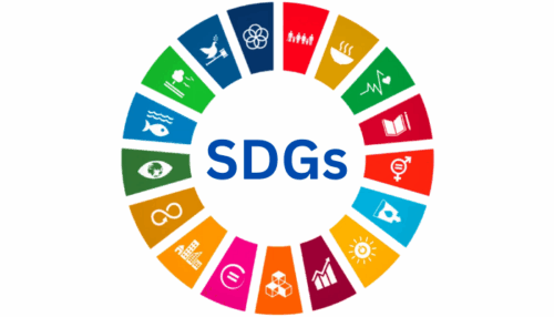 Nigeria’s 38-Year Aid Legacy Earns Seat On Global SDG Body