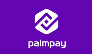 Palmpay Partners With NPF-NCCC To Boost Cybersecurity Awareness And Consumer Protection