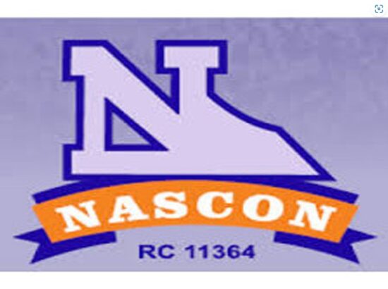 Nascon Profit Hits ₦36.6B On Salt, Seasoning Surge