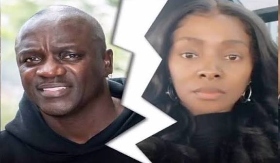In his response submitted at the Los Angeles Superior Court, Akon requested joint physical custody of their 17-year-old child.