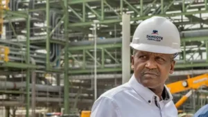 Dangote Refinery Shares Offer: 5 Red Flags Investors Must Look Out For Before Investing