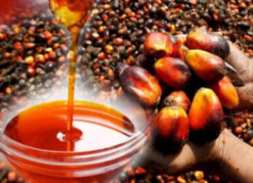 Nigeria Palm Oil Output Rises To 1.57M Tonnes