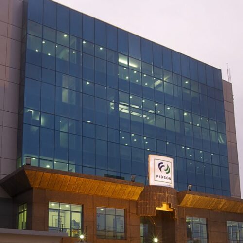 Fidson Records ₦77.8Bn In Ethical Drug Sales, Up 41%