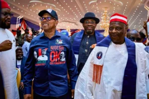 NDC Announces Dates, Fees for 2027 Primaries and Presidential Ticket