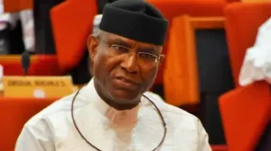 Omo-Agege Resigns From APC, Set To Join NDC After Major Defeat